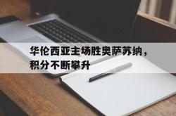 爱游戏网站平台-华伦西亚主场胜奥萨苏纳，积分不断攀升