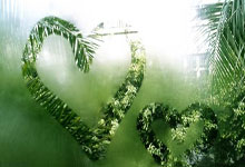 爱游戏网站平台-关于凯恩新星重要助攻表现突出，中国队前途光明！的信息